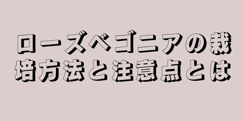 ローズベゴニアの栽培方法と注意点とは