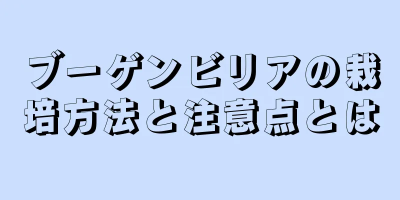 ブーゲンビリアの栽培方法と注意点とは