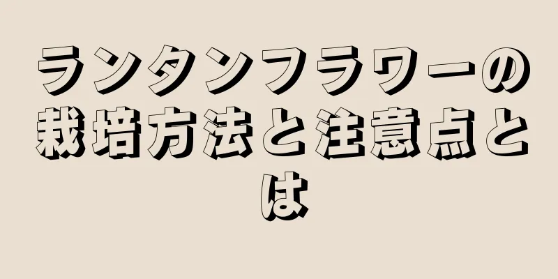 ランタンフラワーの栽培方法と注意点とは