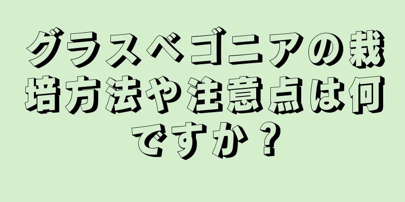 グラスベゴニアの栽培方法や注意点は何ですか？