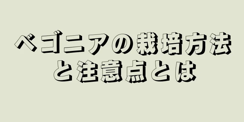 ベゴニアの栽培方法と注意点とは