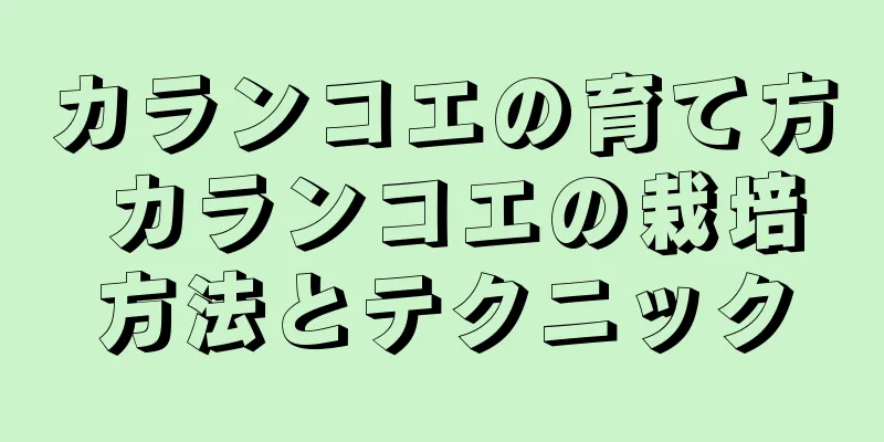 カランコエの育て方 カランコエの栽培方法とテクニック