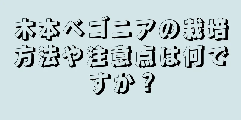 木本ベゴニアの栽培方法や注意点は何ですか？