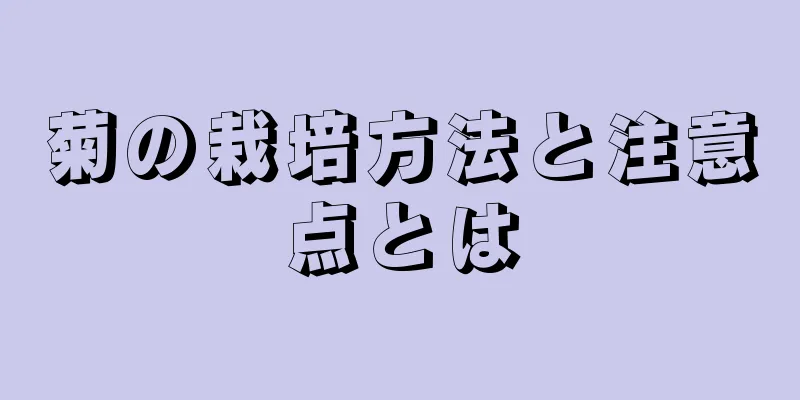 菊の栽培方法と注意点とは