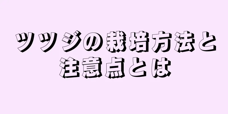 ツツジの栽培方法と注意点とは