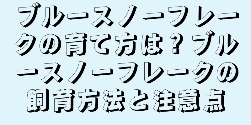 ブルースノーフレークの育て方は？ブルースノーフレークの飼育方法と注意点