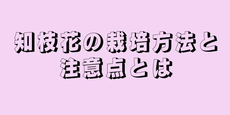 知枝花の栽培方法と注意点とは