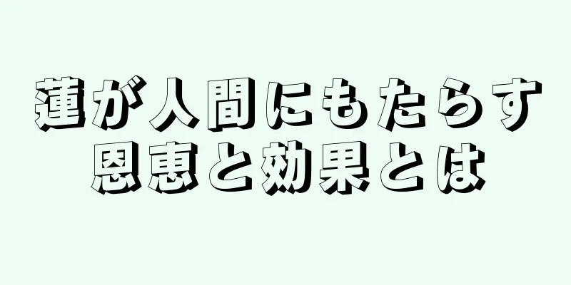 蓮が人間にもたらす恩恵と効果とは