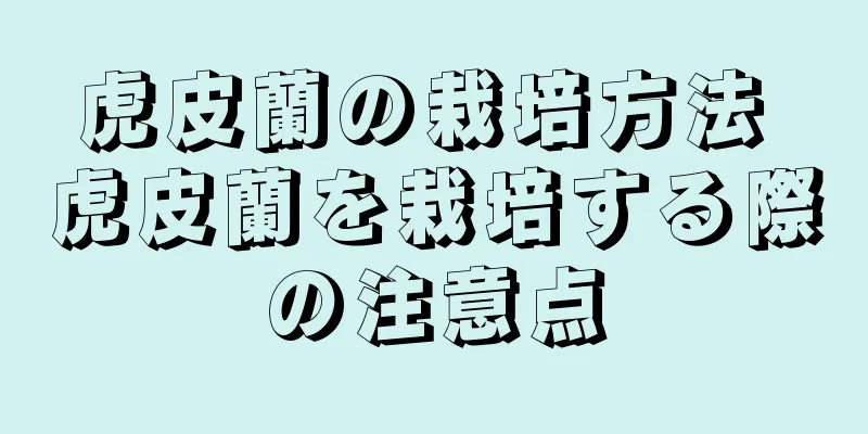 虎皮蘭の栽培方法 虎皮蘭を栽培する際の注意点