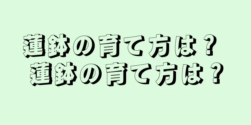 蓮鉢の育て方は？ 蓮鉢の育て方は？