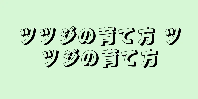 ツツジの育て方 ツツジの育て方