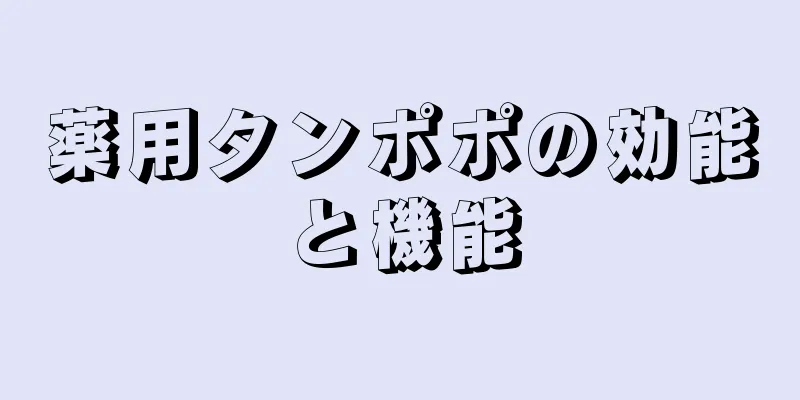 薬用タンポポの効能と機能