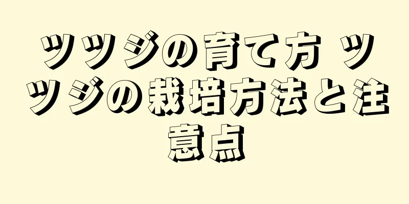 ツツジの育て方 ツツジの栽培方法と注意点