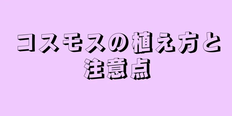 コスモスの植え方と注意点