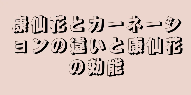 康仙花とカーネーションの違いと康仙花の効能