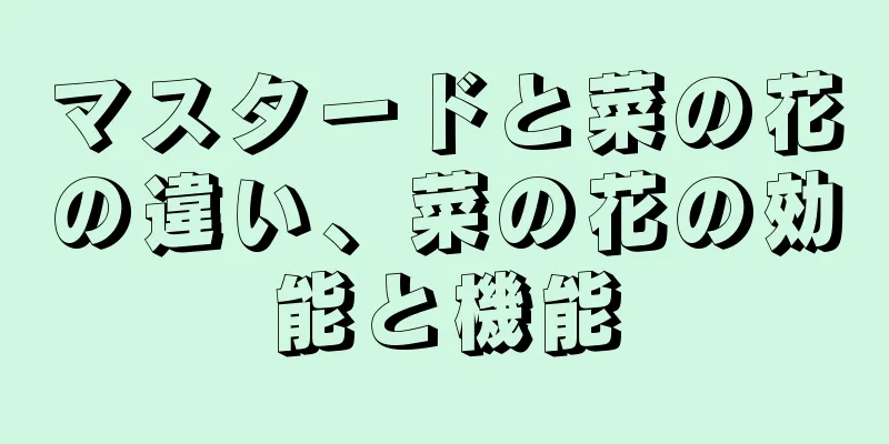 マスタードと菜の花の違い、菜の花の効能と機能