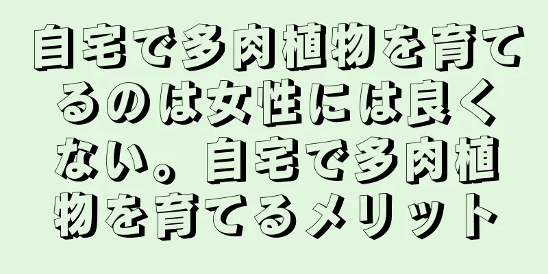 自宅で多肉植物を育てるのは女性には良くない。自宅で多肉植物を育てるメリット