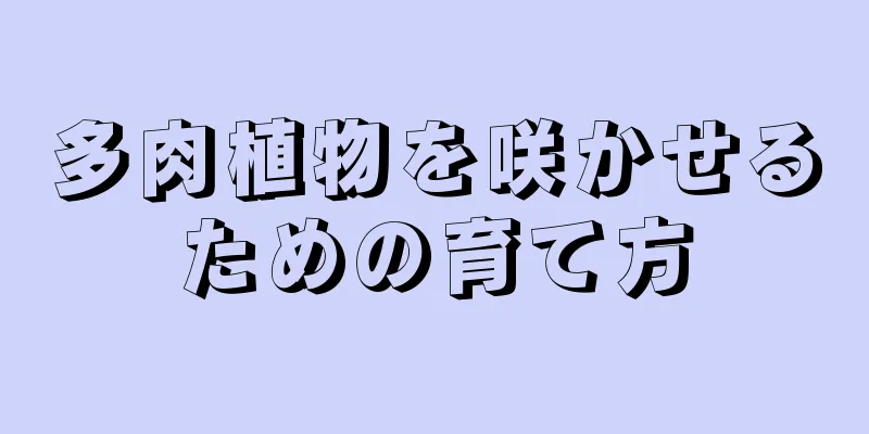 多肉植物を咲かせるための育て方