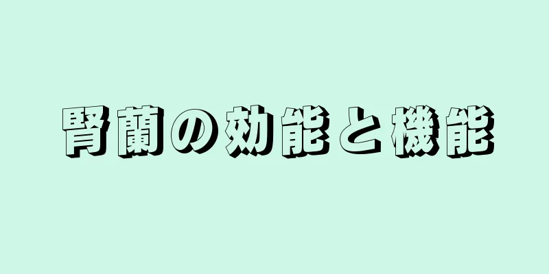 腎蘭の効能と機能