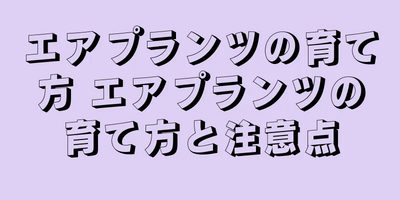 エアプランツの育て方 エアプランツの育て方と注意点