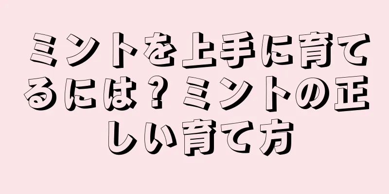 ミントを上手に育てるには？ミントの正しい育て方
