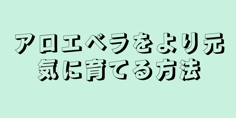 アロエベラをより元気に育てる方法