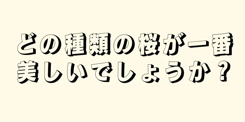 どの種類の桜が一番美しいでしょうか？