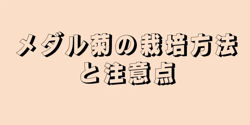 メダル菊の栽培方法と注意点
