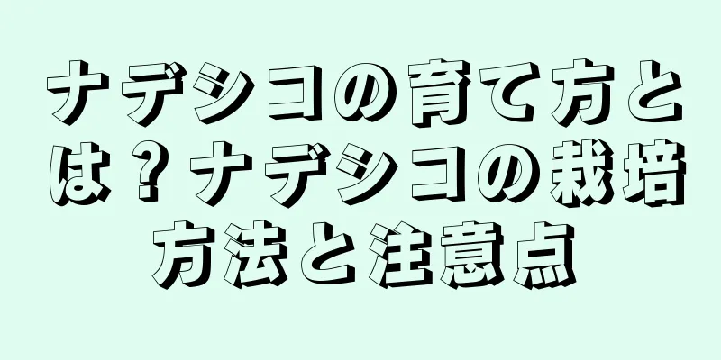 ナデシコの育て方とは？ナデシコの栽培方法と注意点