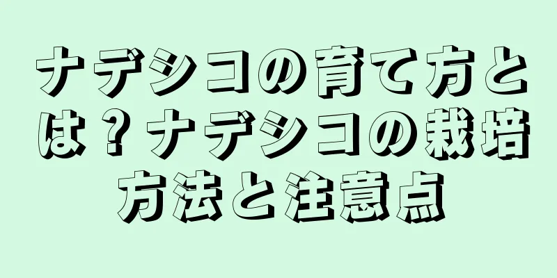 ナデシコの育て方とは？ナデシコの栽培方法と注意点