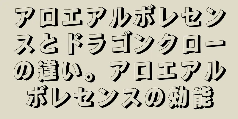 アロエアルボレセンスとドラゴンクローの違い。アロエアルボレセンスの効能