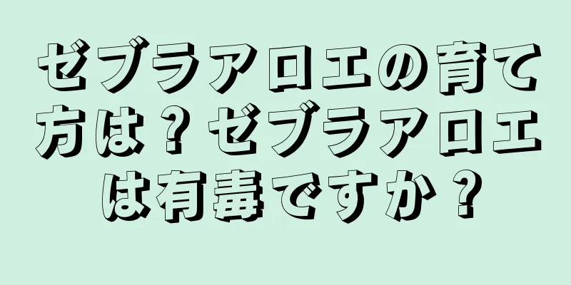 ゼブラアロエの育て方は？ゼブラアロエは有毒ですか？