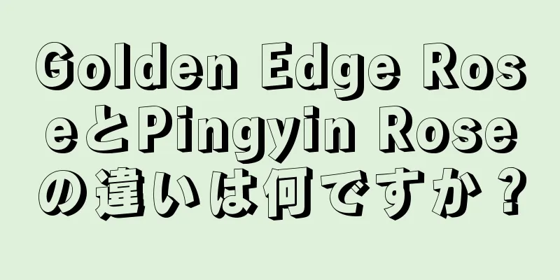 Golden Edge RoseとPingyin Roseの違いは何ですか？