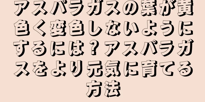 アスパラガスの葉が黄色く変色しないようにするには？アスパラガスをより元気に育てる方法