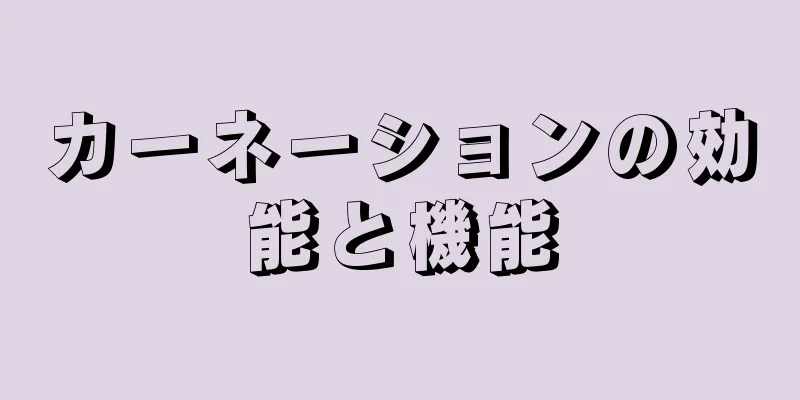 カーネーションの効能と機能