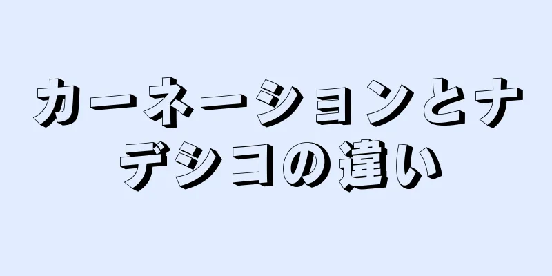 カーネーションとナデシコの違い