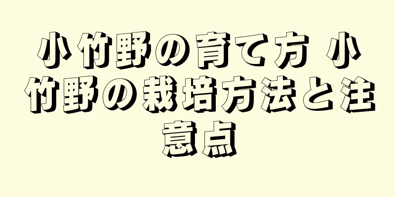 小竹野の育て方 小竹野の栽培方法と注意点