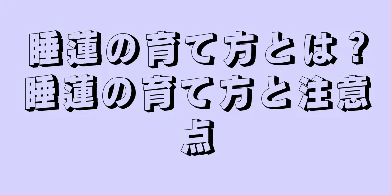 睡蓮の育て方とは？睡蓮の育て方と注意点
