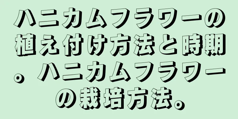 ハニカムフラワーの植え付け方法と時期。ハニカムフラワーの栽培方法。