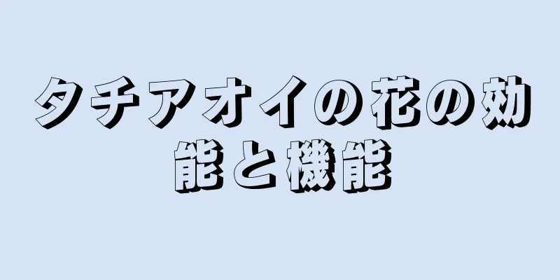タチアオイの花の効能と機能