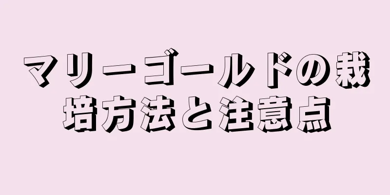 マリーゴールドの栽培方法と注意点