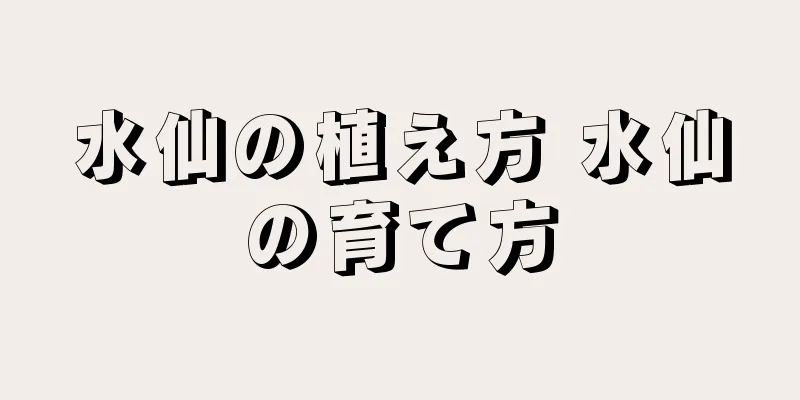 水仙の植え方 水仙の育て方