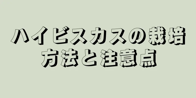 ハイビスカスの栽培方法と注意点