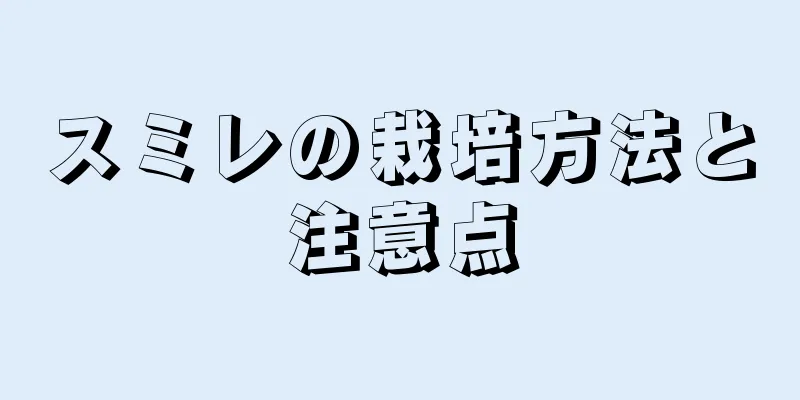 スミレの栽培方法と注意点