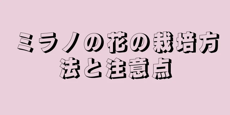 ミラノの花の栽培方法と注意点