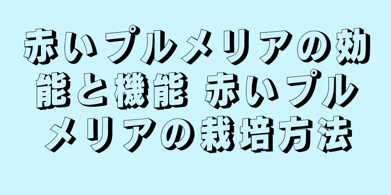 赤いプルメリアの効能と機能 赤いプルメリアの栽培方法