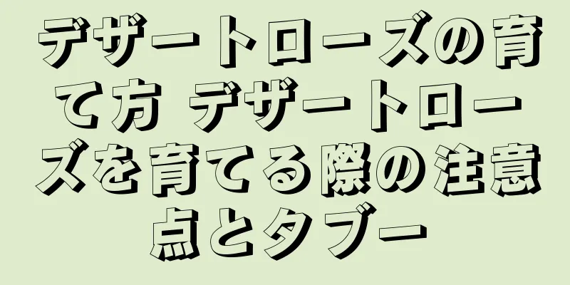 デザートローズの育て方 デザートローズを育てる際の注意点とタブー
