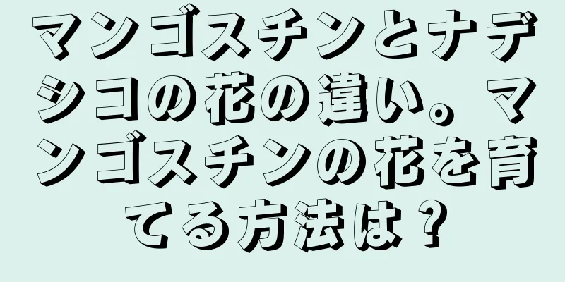 マンゴスチンとナデシコの花の違い。マンゴスチンの花を育てる方法は？
