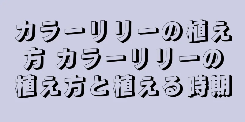 カラーリリーの植え方 カラーリリーの植え方と植える時期