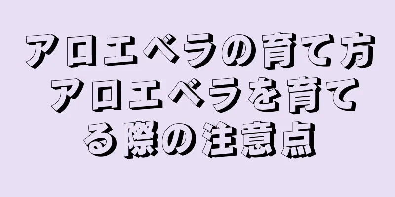 アロエベラの育て方 アロエベラを育てる際の注意点